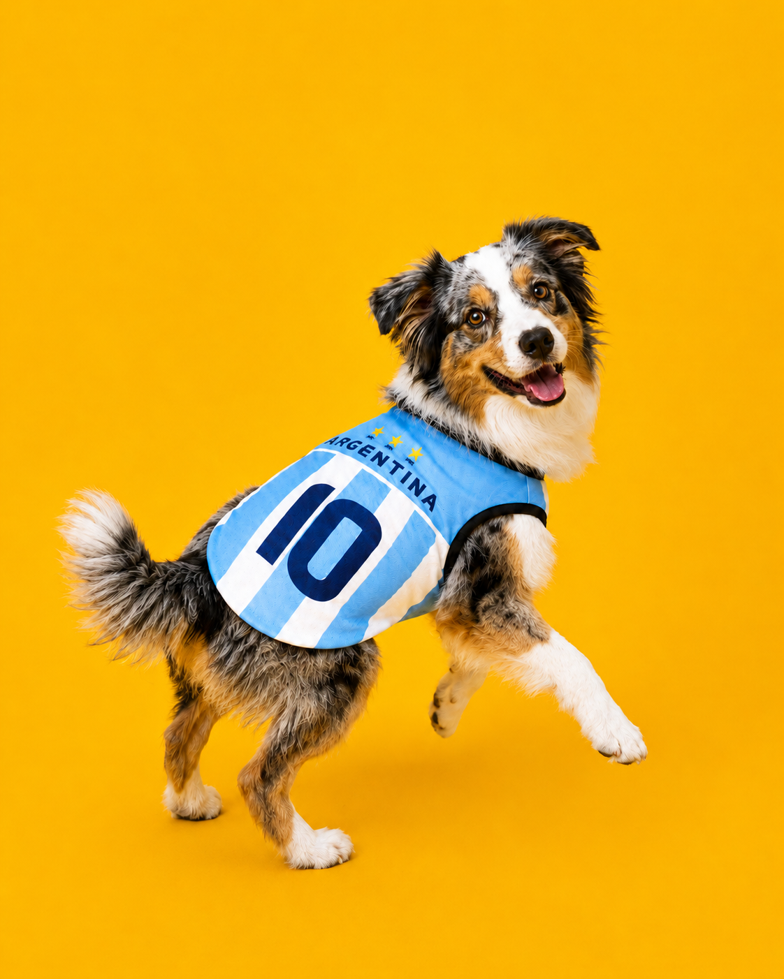 Football jersey - ARGENTINA