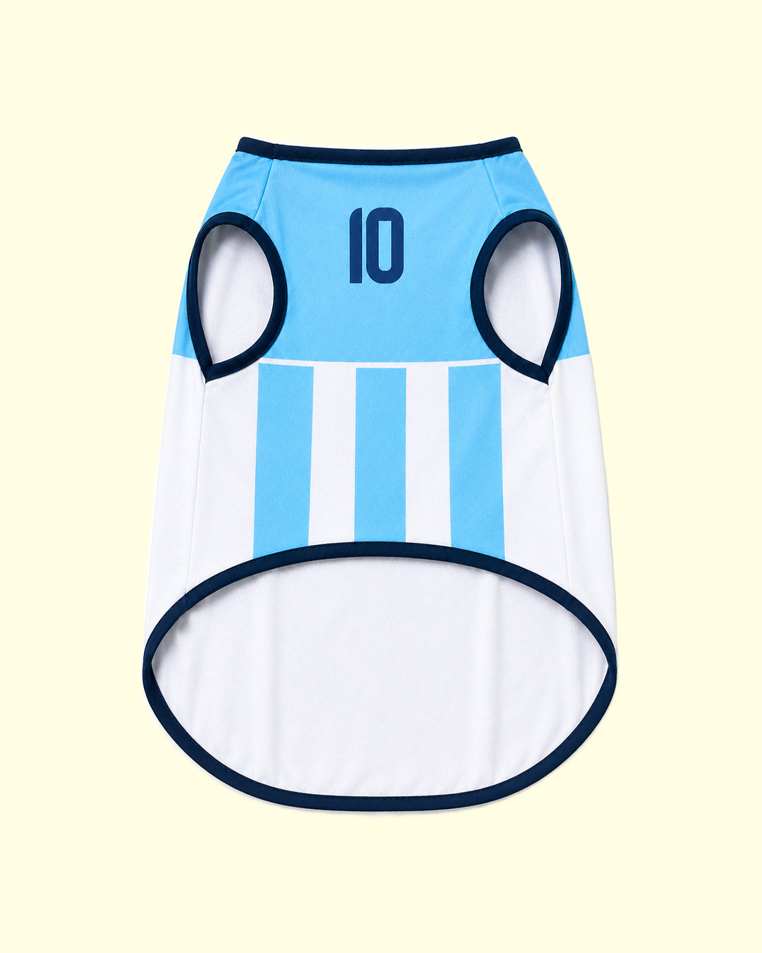Fußballtrikot - ARGENTINIEN